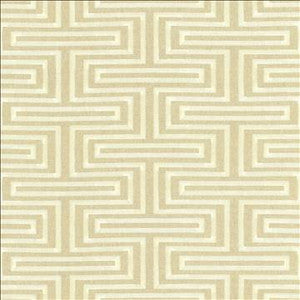 Quandary Pearl by Kasmir Designer Fabric
