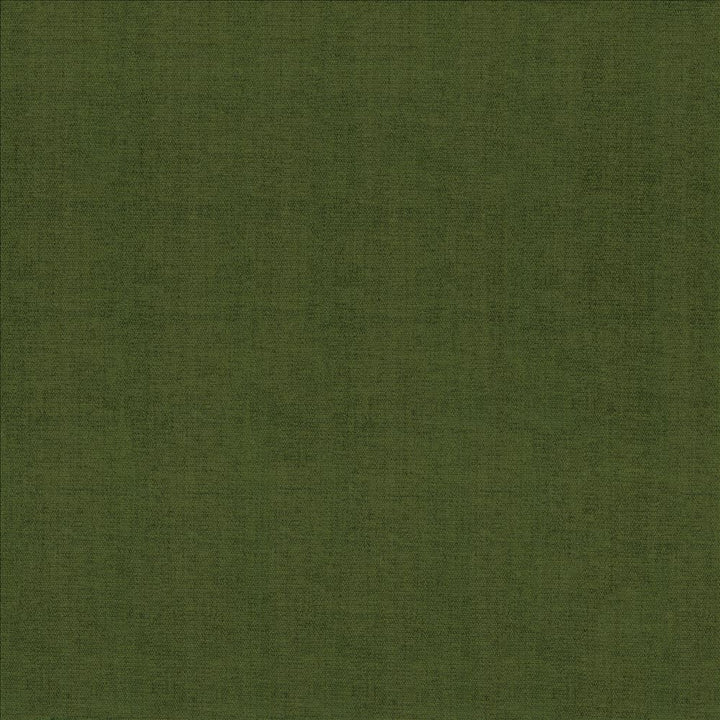 Quarry Boxwood by Kasmir Designer Fabric 5148 100% Polyester
 INDIA </p><p>Repeat: Horizontal: N/A and Vertical: N/A 54 - Swanky Fabrics -