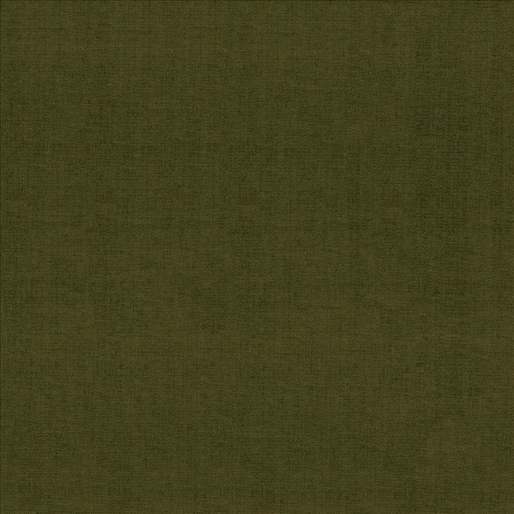 Quarry Cypress by Kasmir Designer Fabric 5148 100% Polyester
 INDIA </p><p>Repeat: Horizontal: N/A and Vertical: N/A 54 - Swanky Fabrics -