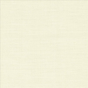 Rayner Ivory by Kasmir Designer Fabric