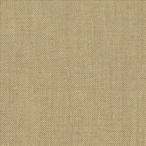 Rayner Oatmeal by Kasmir Designer Fabric