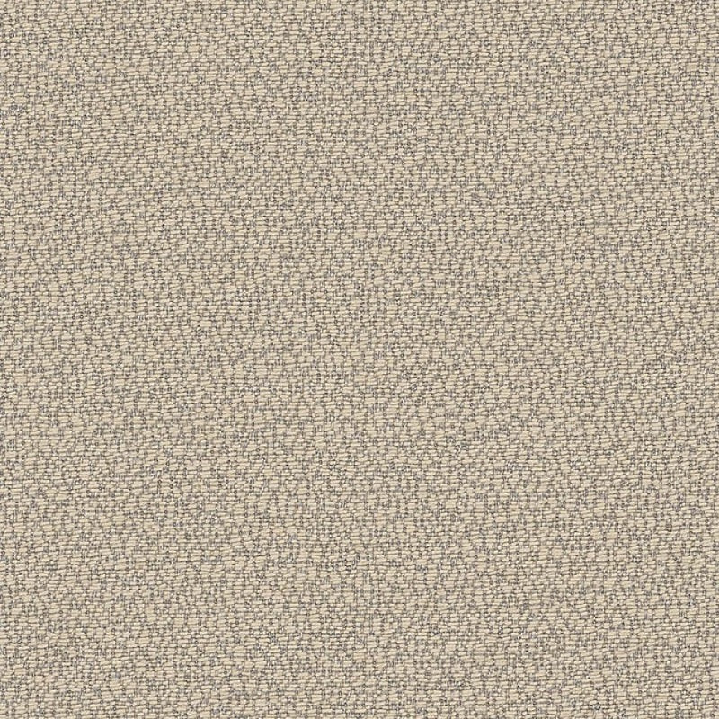 REE J312 140 Reef Fossil