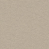 REE J312 140 Reef Fossil by Sunbrella Designer Fabric