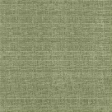 Regis Apple by Kasmir Designer Fabric 5099 100% Polyester CHINA 125,000 Wyzenbeek Double Rubs H: N/A, V: N/A 55 - Swanky Fabrics - Kasmir