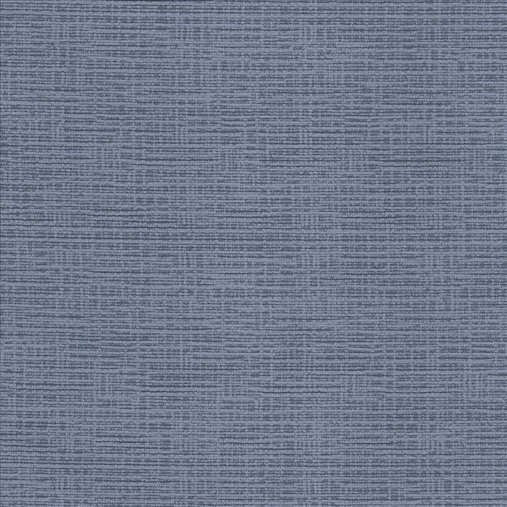 Regis Capitol Blue by Kasmir Designer Fabric 5097 100% Polyester
 CHINA 125,000 Wyzenbeek Double Rubs </p><p>Repeat: Horizontal: N/A and Vertical: N/A 55 - Swanky Fabrics -