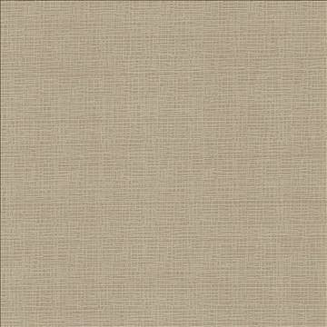 Regis Wheat by Kasmir Designer Fabric 5092 100% Polyester CHINA 125,000 Wyzenbeek Double Rubs H: N/A, V: N/A 55 - Swanky Fabrics - Kasmir