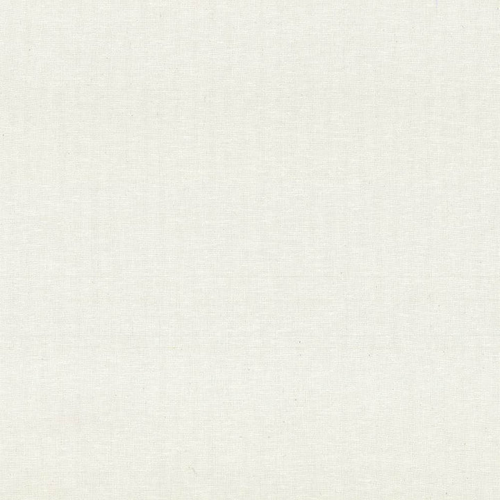 Reilly Natural  by Kasmir Designer Fabric 5035 38% Polyester
35% Cotton
16% Linen
11% Rayon
 TURKEY Not Tested Horizontal: N/A and Vertical: N/A 54  - Swanky Fabrics -