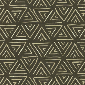 Relativity Charcoal by Kasmir Designer Fabric