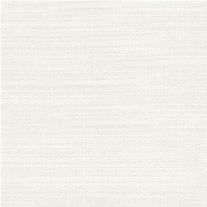 Resilient White by Kasmir Designer Fabric 5173 100% Polyester
 CHINA </p><p>Repeat: Horizontal: N/A and Vertical: N/A 54 - Swanky Fabrics -