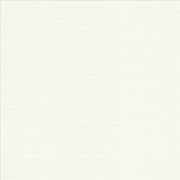 Resilient White by Kasmir Designer Fabric See sample 100% Polyester
 CHINA 100,000 Wyzenbeek Double Rubs </p><p>Repeat: Horizontal: N/A and Vertical: N/A 54 - Swanky Fabrics -
