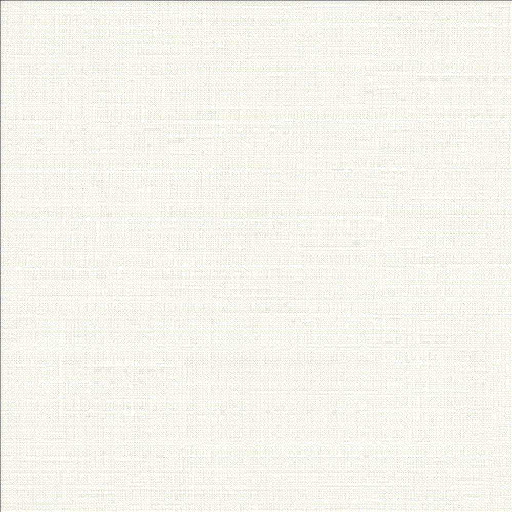 Resilient White  by Kasmir Designer Fabric 5173 100% Polyester
 CHINA 100,000 Wyzenbeek Double Rubs Horizontal: N/A and Vertical: N/A 54  - Swanky Fabrics -