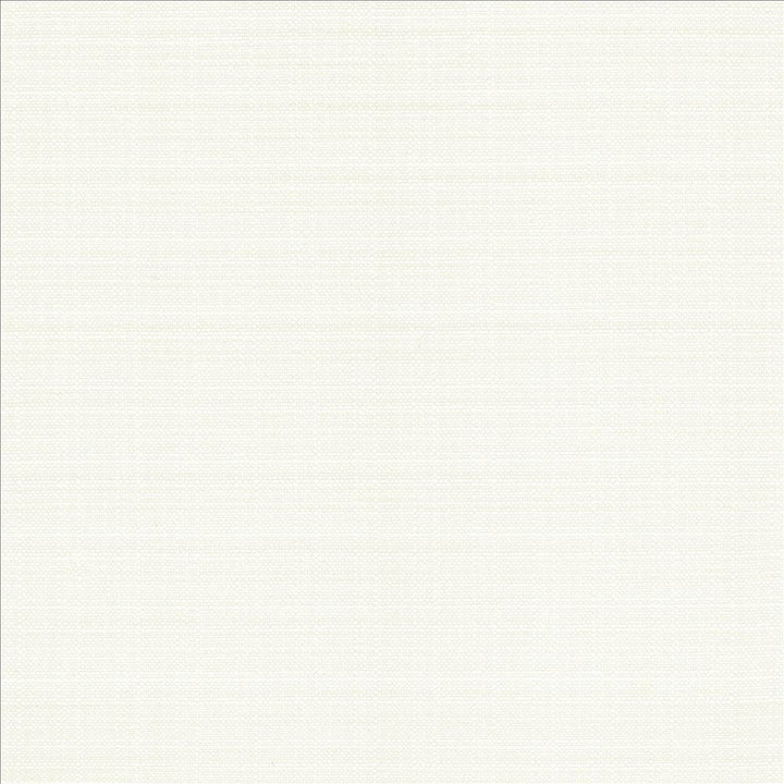 Resilient White by Kasmir Designer Fabric 5173 100% Polyester
 CHINA 100,000 Wyzenbeek Double Rubs </p><p>Repeat: Horizontal: N/A and Vertical: N/A 54 - Swanky Fabrics -