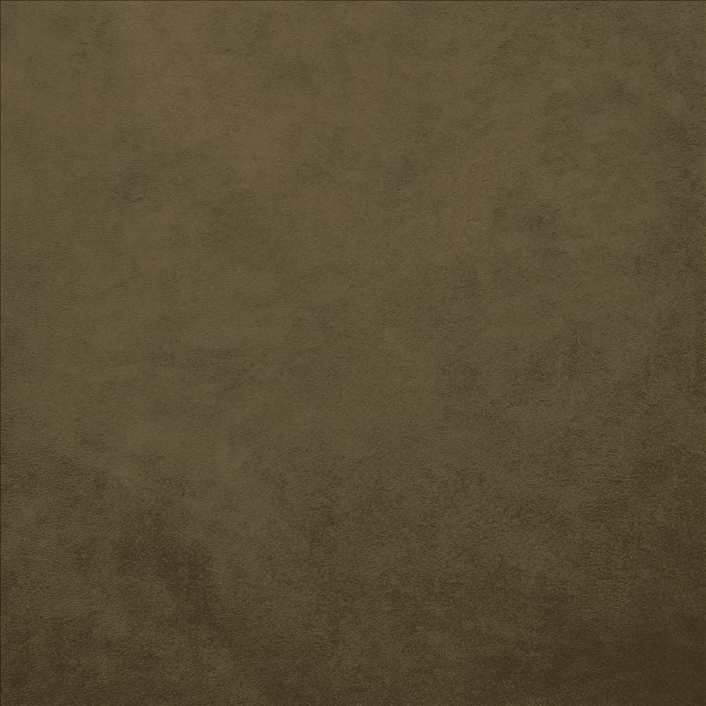 Retrospective Brown by Kasmir Designer Fabric 5169 100% Polyester
 CHINA 60,000 Wyzenbeek Double Rubs </p><p>Repeat: Horizontal: N/A and Vertical: N/A 58 - Swanky Fabrics -