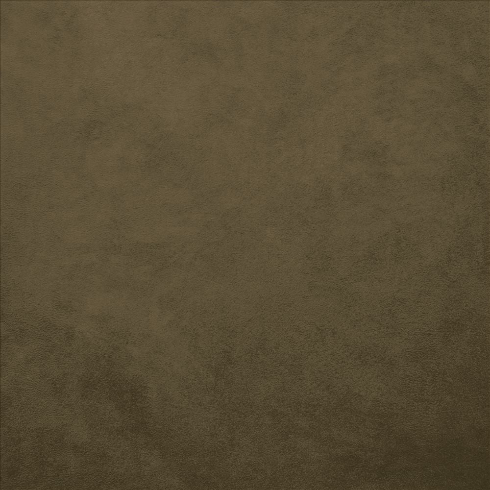 Retrospective Brown by Kasmir Designer Fabric 5169 100% Polyester
 CHINA </p><p>Repeat: Horizontal: N/A and Vertical: N/A 58 - Swanky Fabrics -
