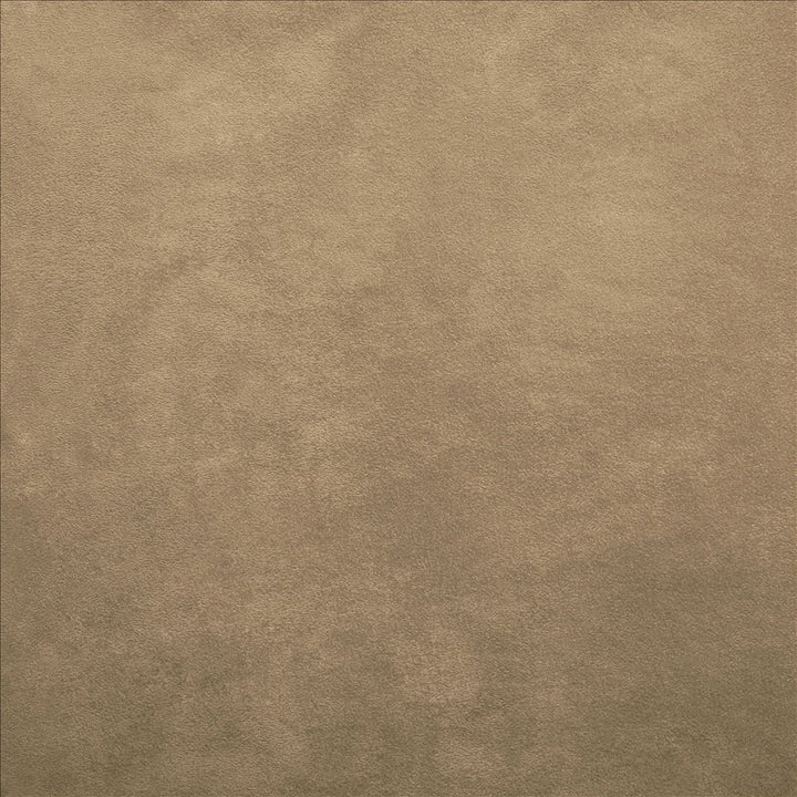 Retrospective Buckskin by Kasmir Designer Fabric 5169 100% Polyester
 CHINA 60,000 Wyzenbeek Double Rubs </p><p>Repeat: Horizontal: N/A and Vertical: N/A 58 - Swanky Fabrics -