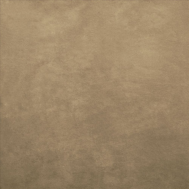 Retrospective Buckskin  by Kasmir Designer Fabric 5169 100% Polyester
 CHINA 60,000 Wyzenbeek Double Rubs Horizontal: N/A and Vertical: N/A 58  - Swanky Fabrics -