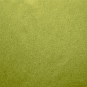 Retrospective Iguana by Kasmir Designer Fabric