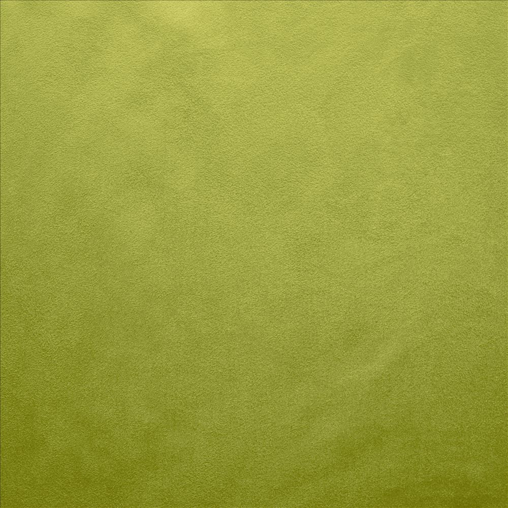 Retrospective Iguana by Kasmir Designer Fabric 5169 100% Polyester
 CHINA </p><p>Repeat: Horizontal: N/A and Vertical: N/A 58 - Swanky Fabrics -