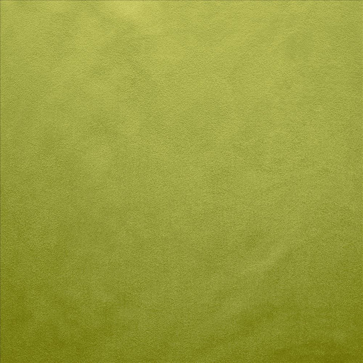 Retrospective Iguana by Kasmir Designer Fabric See sample 100% Polyester
 CHINA 60,000 Wyzenbeek Double Rubs </p><p>Repeat: Horizontal: N/A and Vertical: N/A 58 - Swanky Fabrics -