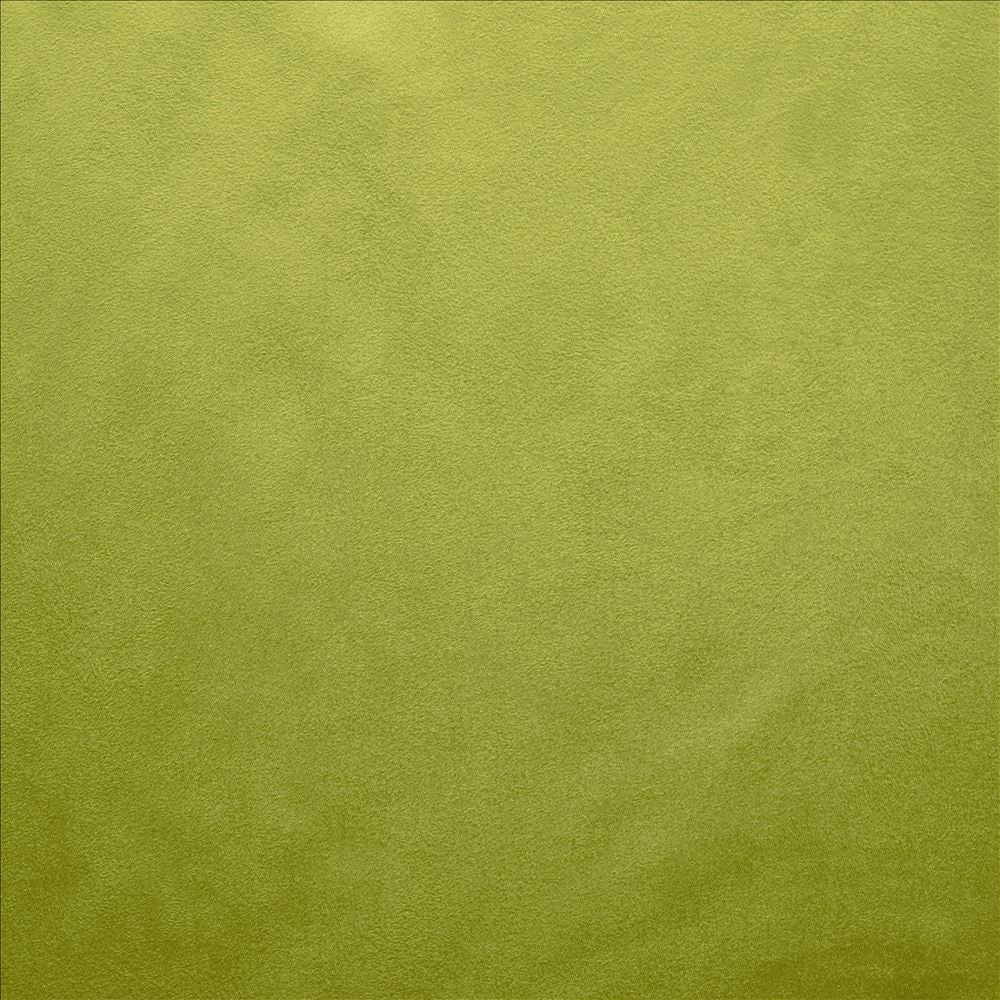 Retrospective Iguana by Kasmir Designer Fabric 5169 100% Polyester
 CHINA 60,000 Wyzenbeek Double Rubs </p><p>Repeat: Horizontal: N/A and Vertical: N/A 58 - Swanky Fabrics -
