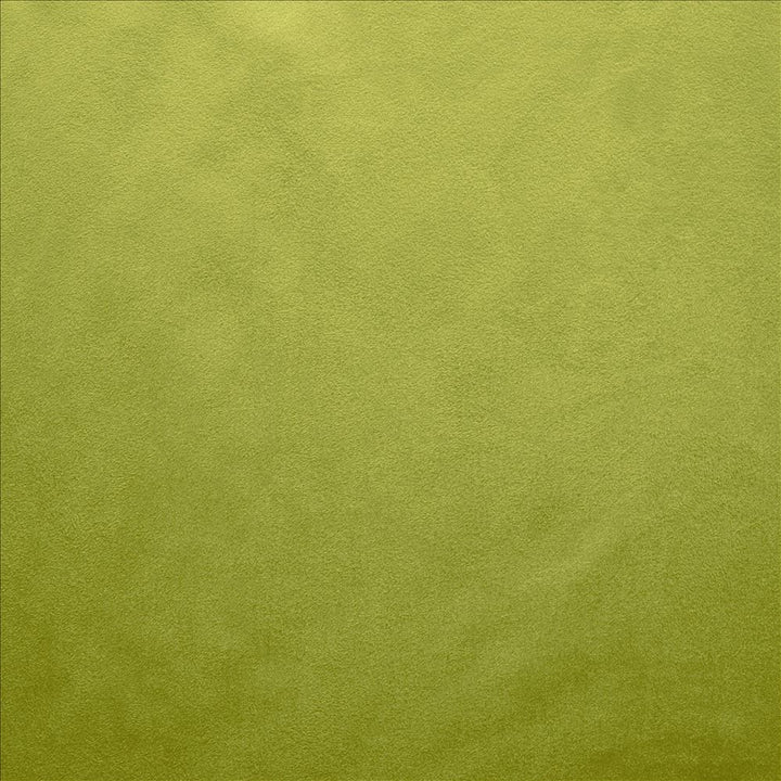 Retrospective Iguana by Kasmir Designer Fabric 5169 100% Polyester
 CHINA 60,000 Wyzenbeek Double Rubs </p><p>Repeat: Horizontal: N/A and Vertical: N/A 58 - Swanky Fabrics -