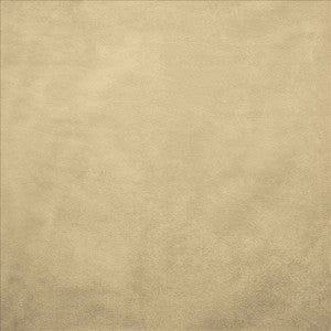 Retrospective Ivory by Kasmir Designer Fabric