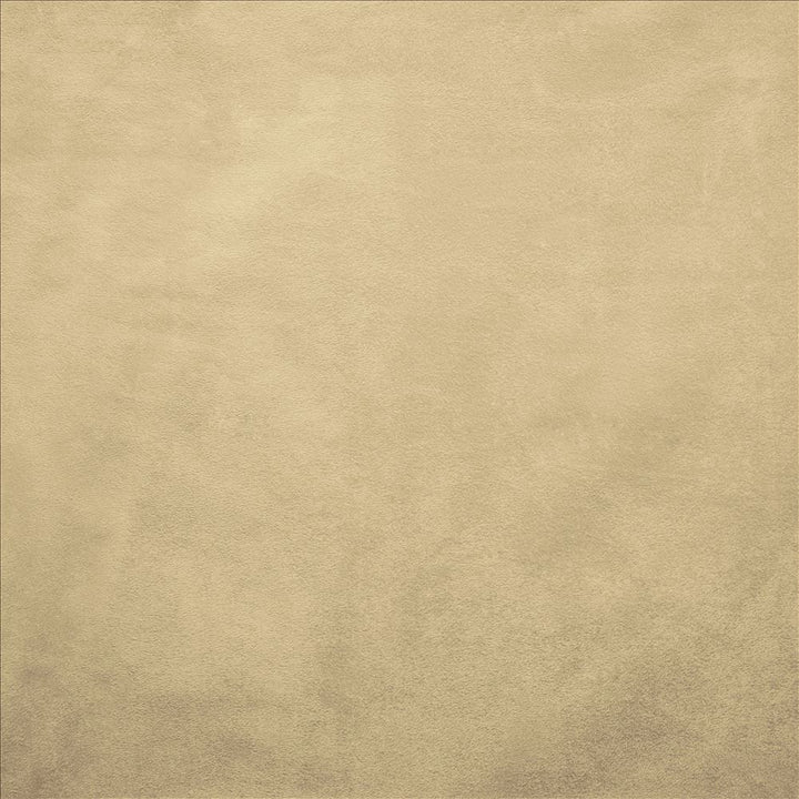 Retrospective Ivory by Kasmir Designer Fabric 5169 100% Polyester
 CHINA 60,000 Wyzenbeek Double Rubs </p><p>Repeat: Horizontal: N/A and Vertical: N/A 58 - Swanky Fabrics -