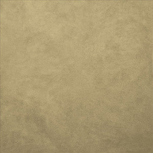 Retrospective Lichen by Kasmir Designer Fabric
