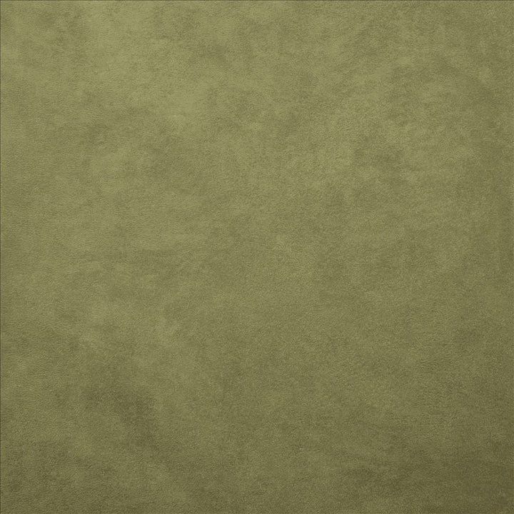 Retrospective Sage by Kasmir Designer Fabric 5169 100% Polyester
 CHINA </p><p>Repeat: Horizontal: N/A and Vertical: N/A 58 - Swanky Fabrics -
