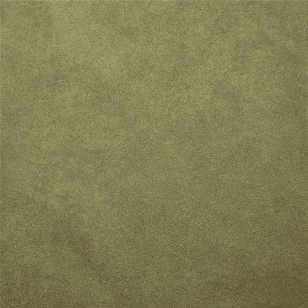 Retrospective Sage by Kasmir Designer Fabric 5169 100% Polyester
 CHINA 60,000 Wyzenbeek Double Rubs </p><p>Repeat: Horizontal: N/A and Vertical: N/A 58 - Swanky Fabrics -