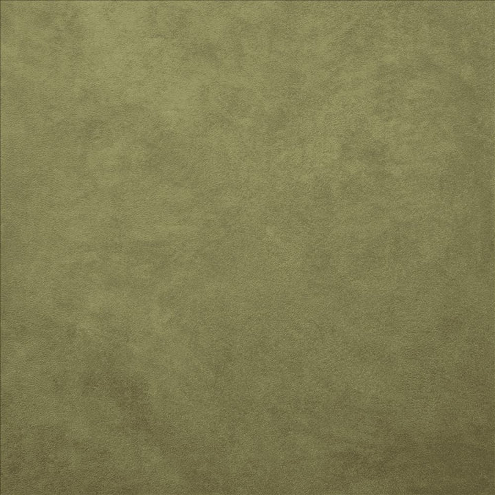Retrospective Sage by Kasmir Designer Fabric 5169 100% Polyester
 CHINA 60,000 Wyzenbeek Double Rubs </p><p>Repeat: Horizontal: N/A and Vertical: N/A 58 - Swanky Fabrics -