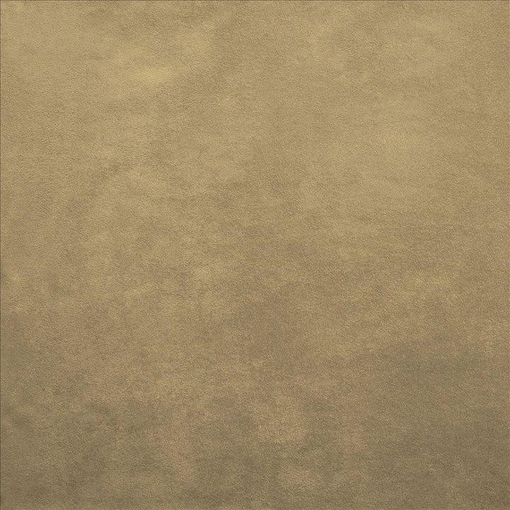 Retrospective Wheat by Kasmir Designer Fabric 5169 100% Polyester
 CHINA 60,000 Wyzenbeek Double Rubs </p><p>Repeat: Horizontal: N/A and Vertical: N/A 58 - Swanky Fabrics -
