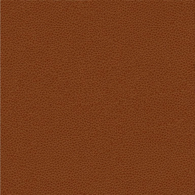 RIGEL.24 by Kravet Smart Designer Fabric in our sample Poly Vinyl Chloride 100% Taiwan Heavy Horizontal: See Sample and Vertical: See Sample 54 inches - Swanky Fabrics -