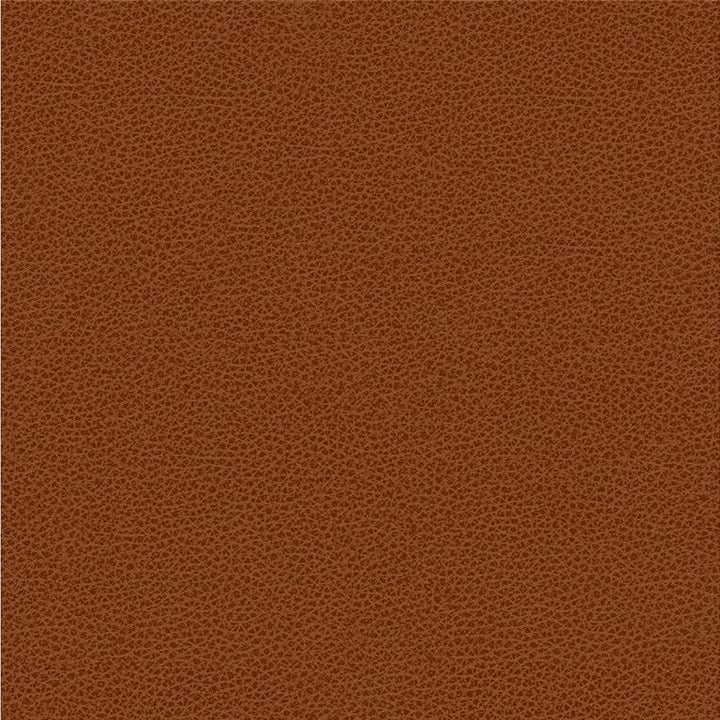 RIGEL.24 by Kravet Smart Designer Fabric our website for purchase 100% Leather Taiwan Heavy Horizontal: see sample and Vertical: see sample 54 inches - Swanky Fabrics -