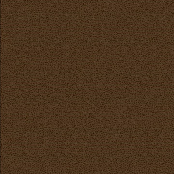 RIGEL.6 by Kravet Smart Designer Fabric our website for purchase 100% Leather Taiwan Heavy Horizontal: see sample and Vertical: see sample 54 inches - Swanky Fabrics -