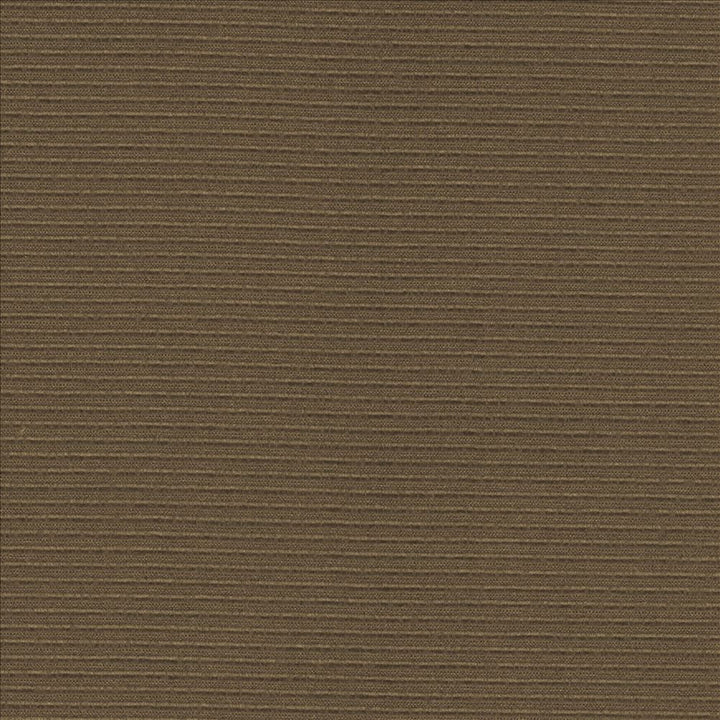 Rivage Cocoa by Kasmir Designer Fabric 5101 54% Polyester
46% Cotton
 TAIWAN </p><p>Repeat: Horizontal: N/A and Vertical: N/A 54 - 55 - Swanky Fabrics -