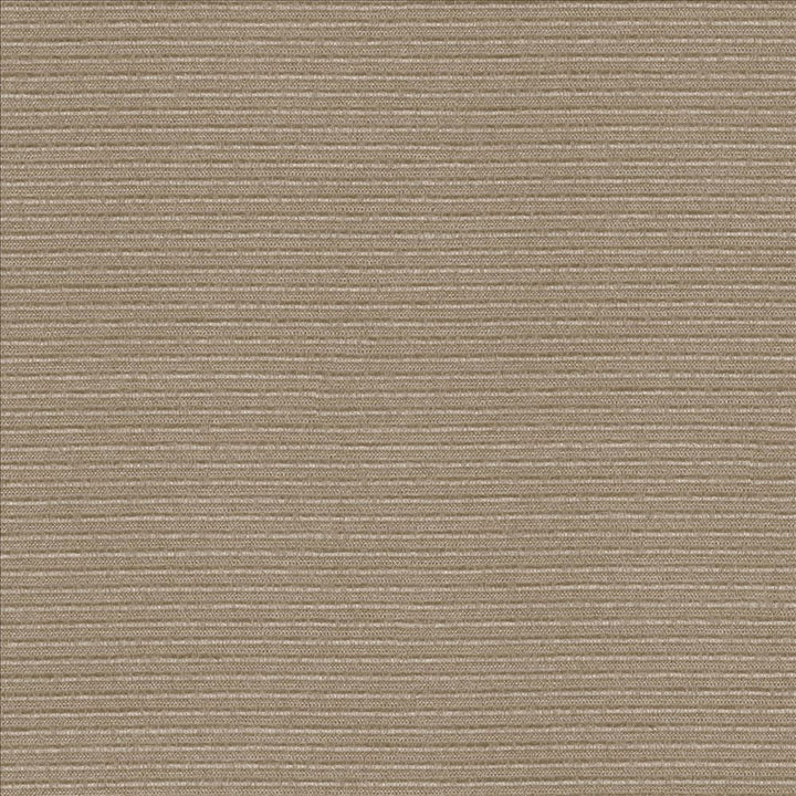 Rivage Latte by Kasmir Designer Fabric 5092 54% Polyester
46% Cotton
 TAIWAN </p><p>Repeat: Horizontal: N/A and Vertical: N/A 54 - 55 - Swanky Fabrics -