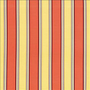 Robuchon Stripe Paprika by Kasmir Designer Fabric