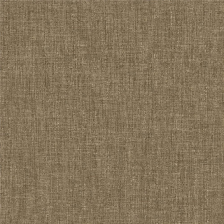 Robust Latte  by Kasmir Designer Fabric 5173 100% Polyester
 CHINA 81,000 Wyzenbeek Double Rubs Horizontal: N/A and Vertical: N/A 54  - Swanky Fabrics -