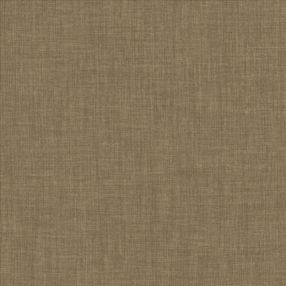 Robust Latte by Kasmir Designer Fabric 5173 100% Polyester
 CHINA 81,000 Wyzenbeek Double Rubs </p><p>Repeat: Horizontal: N/A and Vertical: N/A 54 - Swanky Fabrics -
