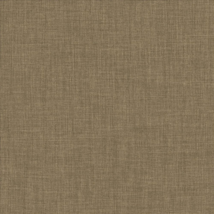 Robust Latte by Kasmir Designer Fabric 5173 100% Polyester
 CHINA 81,000 Wyzenbeek Double Rubs </p><p>Repeat: Horizontal: N/A and Vertical: N/A 54 - Swanky Fabrics -