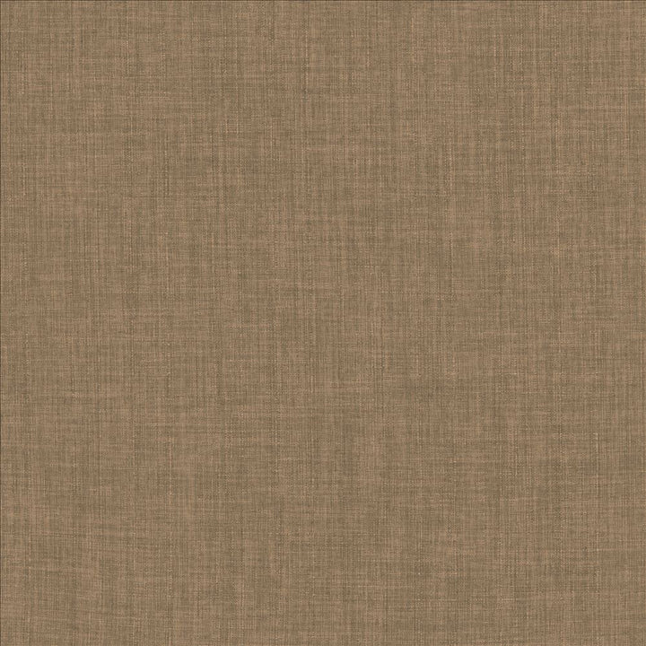 Robust Latte by Kasmir Designer Fabric 5173 100% Polyester
 CHINA </p><p>Repeat: Horizontal: N/A and Vertical: N/A 54 - Swanky Fabrics -
