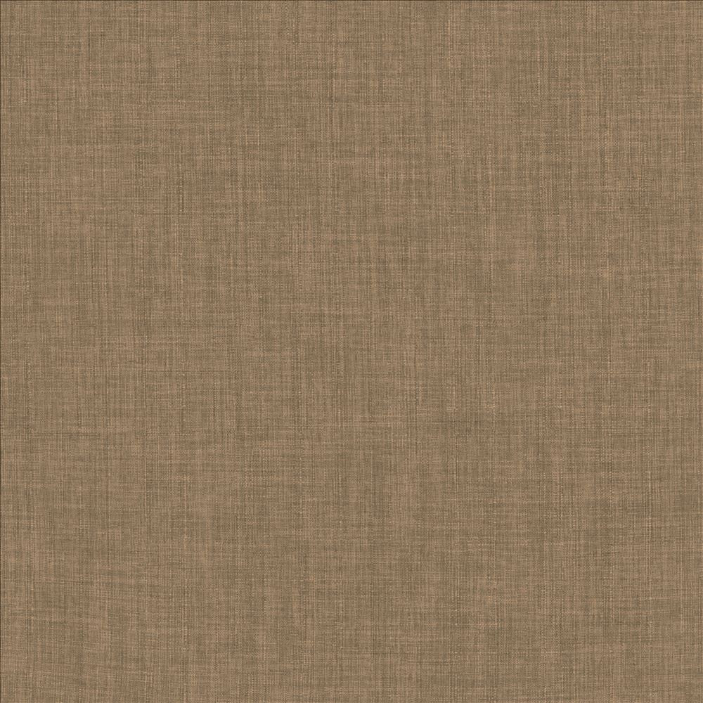 Robust Latte by Kasmir Designer Fabric 5173 100% Polyester
 CHINA </p><p>Repeat: Horizontal: N/A and Vertical: N/A 54 - Swanky Fabrics -