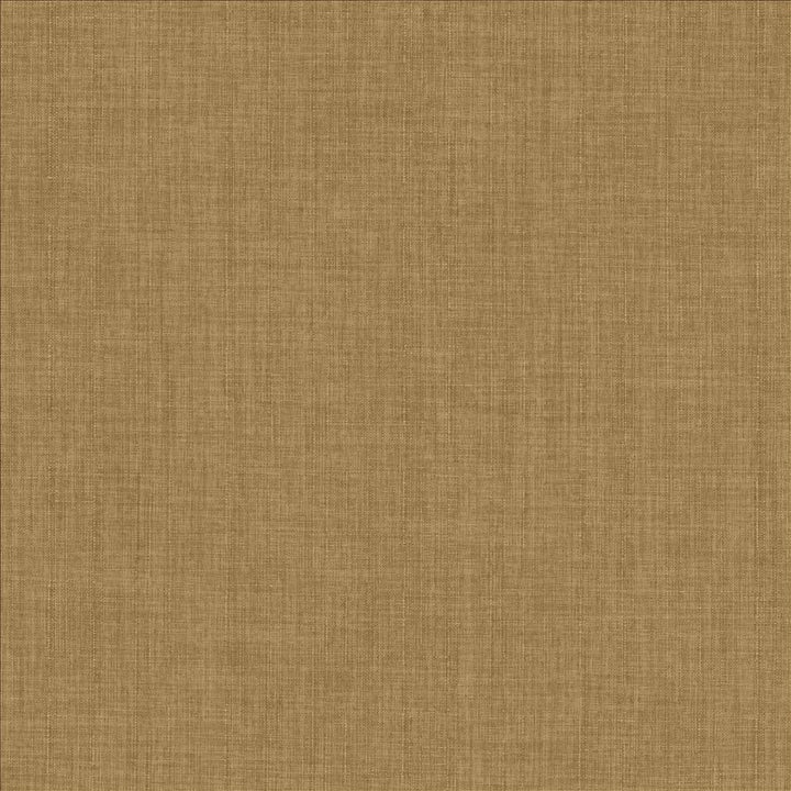 Robust Oat by Kasmir Designer Fabric 5173 100% Polyester
 CHINA 81,000 Wyzenbeek Double Rubs </p><p>Repeat: Horizontal: N/A and Vertical: N/A 54 - Swanky Fabrics -