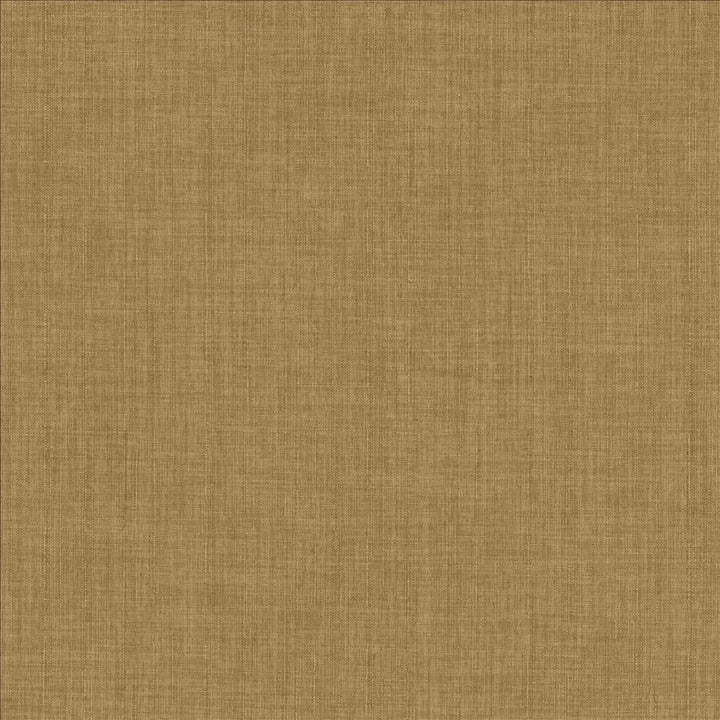 Robust Oat  by Kasmir Designer Fabric 5173 100% Polyester
 CHINA 81,000 Wyzenbeek Double Rubs Horizontal: N/A and Vertical: N/A 54  - Swanky Fabrics -