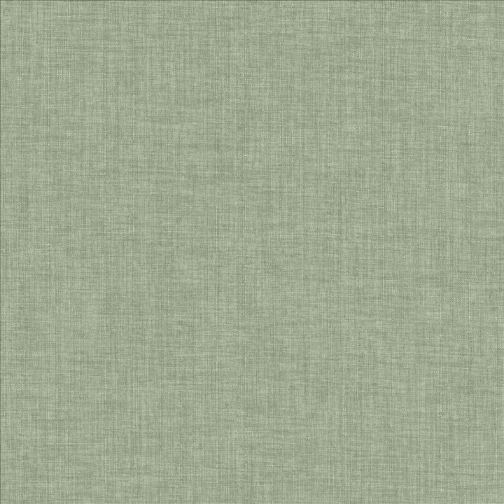 Robust Vapor  by Kasmir Designer Fabric 5173 100% Polyester
 CHINA 81,000 Wyzenbeek Double Rubs Horizontal: N/A and Vertical: N/A 54  - Swanky Fabrics -