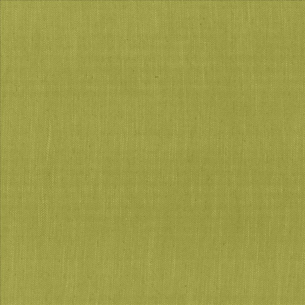 Rockefeller Palm  by Kasmir Designer Fabric 1446 42% Viscose
40% Polyester
18% Linen
 CHINA 30,000 Martindale Cycles Horizontal: N/A and Vertical: N/A 57  - Swanky Fabrics -
