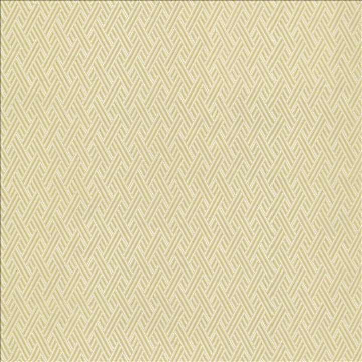 Rockweave Linen by Kasmir Designer Fabric See sample 100% Polyester
 USA 6,000 Wyzenbeek Double Rubs </p><p>Repeat: Horizontal: 1 inches and Vertical: 1 7/8 inches 53 - Swanky Fabrics -