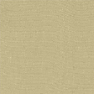 Roxy Taupe by Kasmir Designer Fabric