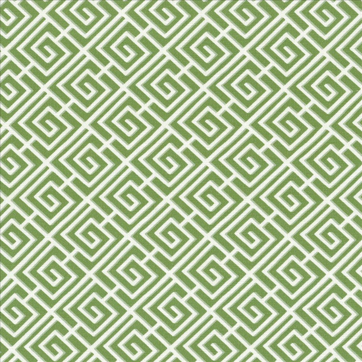 Royal Pagoda Kiwi  by Kasmir Designer Fabric 5090 100% Cotton
 PAKISTAN 15,000 Wyzenbeek Double Rubs Horizontal: 4 4/8 inches and Vertical: 4 4/8 inches 54  - Swanky Fabrics -